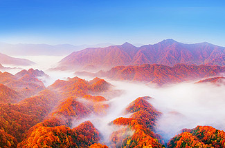 【遇见光雾山·深度摄影7日】光雾山+米仓山+十八月潭+黎坪国家森林公园+天然画廊+香炉山云海+黑熊沟+大小兰沟+龙头山云海+太洋公路+核桃坪+黄柏塬+大箭沟+随队摄影师跟拍+无人机航拍+汉中四钻酒店+金牌10人旅拍团