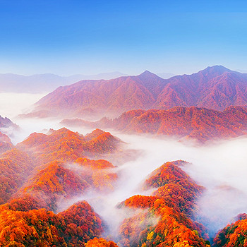 【遇见光雾山·深度摄影7日】光雾山+米仓山+十八月潭+黎坪国家森林公园+天然画廊+香炉山云海+黑熊沟+大小兰沟+龙头山云海+太洋公路+核桃坪+黄柏塬+大箭沟+随队摄影师跟拍+无人机航拍+汉中四钻酒店+金牌10人旅拍团