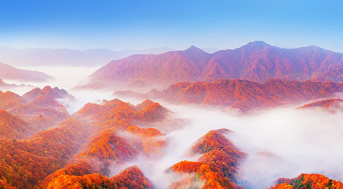 【遇见光雾山·深度摄影7日】光雾山+米仓山+十八月潭+黎坪国家森林公园+天然画廊+香炉山云海+黑熊沟+大小兰沟+龙头山云海+太洋公路+紫柏山国家森林公园+随队摄影师跟拍+无人机航拍+汉中四钻酒店+金牌10人旅拍团