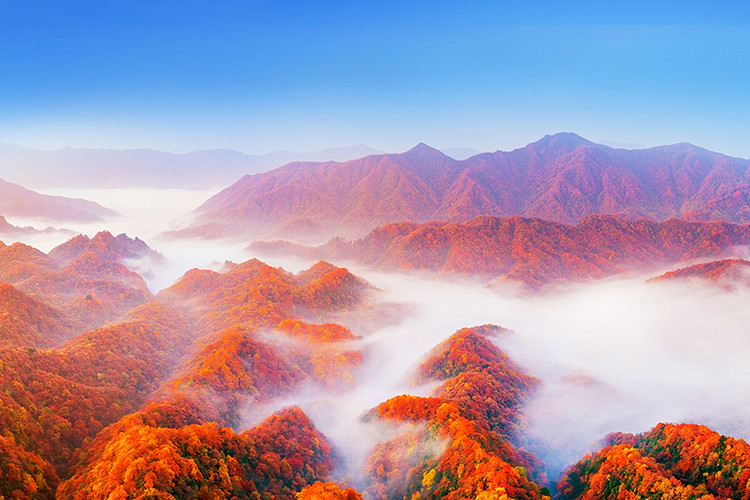 【遇见光雾山·深度摄影7日】光雾山+米仓山+十八月潭+黎坪国家森林公园+天然画廊+香炉山云海+黑熊沟+大小兰沟+龙头山云海+太洋公路+核桃坪+黄柏塬+大箭沟+随队摄影师跟拍+无人机航拍+汉中四钻酒店+金牌10人旅拍团