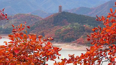 【北京一周一山·金海湖】休闲丨8公里徒步丨一半湖水一半山+俯瞰金海湖+赏绝美湖光山色