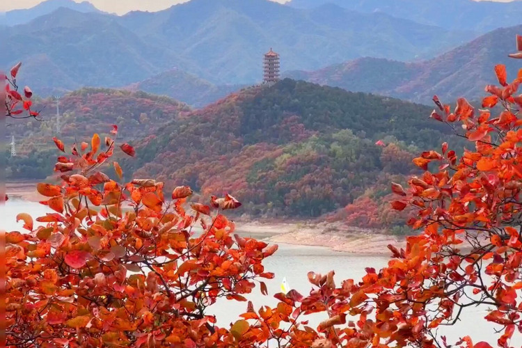 【北京一周一山·金海湖】休闲丨8公里徒步丨一半湖水一半山+俯瞰金海湖+赏绝美湖光山色