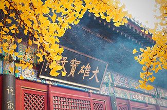 【北京一周一山·红螺寺】休闲级丨8公里丨京北巨刹千年古寺+登高祈福+徒步雁栖湖西山步道+俯瞰雁栖湖全景