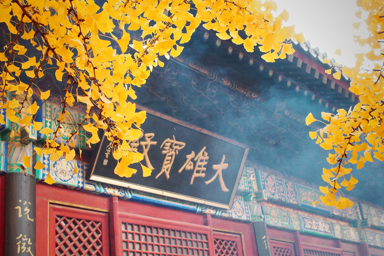 【北京一周一山·红螺寺】休闲级丨8公里丨京北巨刹千年古寺+登高祈福+徒步雁栖湖西山步道+俯瞰雁栖湖全景