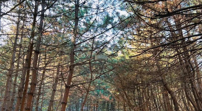 【北京一周一山·莲花滩 】休闲丨10公里丨童话森林里的漫步+奔向山谷秘境深处一线天+感受山野乐趣~