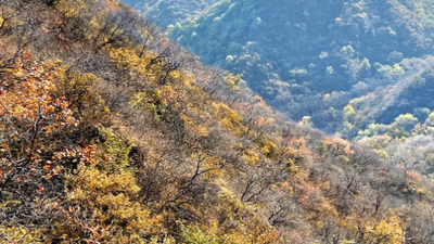 【北京一周一山·莲花滩 】休闲丨10公里丨童话森林里的漫步+奔向山谷秘境深处一线天+感受山野乐趣~