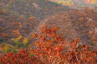 【北京一周一山·莲花滩 】休闲丨10公里丨童话森林里的漫步+奔向山谷秘境深处一线天+感受山野乐趣~