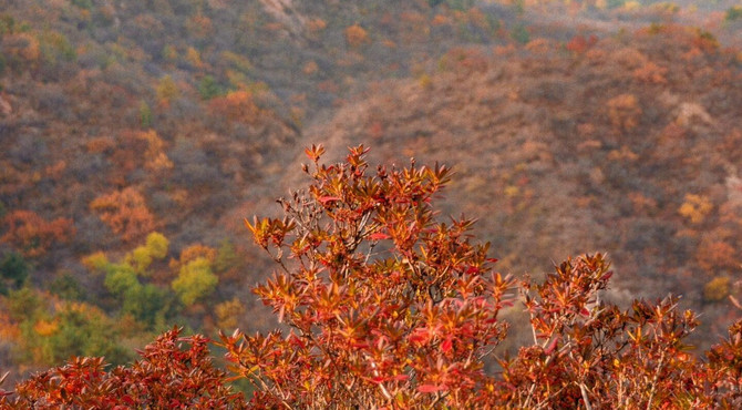 【北京一周一山·莲花滩 】休闲丨10公里丨童话森林里的漫步+奔向山谷秘境深处一线天+感受山野乐趣~