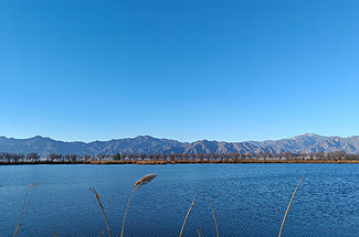 【北京一周一山·野鸭湖】京郊小洱海丨探秘华北湿地生态自然之美，领略野鸭湖的无尽魅力！