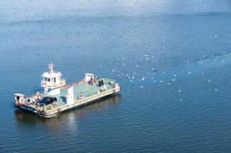 【“鸥”遇天津】休闲摄影丨冬日季节限定丨老码头邂逅西伯利亚海鸥+大梁子轮渡+滨海图书馆+东疆亲海公园赏落日余晖