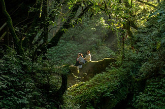 【徒步华夏第二十一站 · 哀牢山站】哀牢山秘境徒步+石门峡徒步+元阳梯田徒步+哀牢山日出+多依树日出+南恩瀑布+建水古城+摄影师跟拍+5日徒步