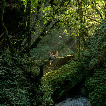 【徒步华夏第二十一站 · 哀牢山站】哀牢山秘境徒步+石门峡徒步+元阳梯田徒步+哀牢山日出+多依树日出+南恩瀑布+建水古城+摄影师跟拍+5日徒步