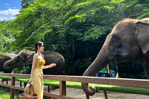 【又见云南·象往版纳7日】昆明+普洱+太阳河小熊猫+景迈山+西双版纳+总佛寺+野象谷+中科院+热带雨林徒步+星光夜市7日游