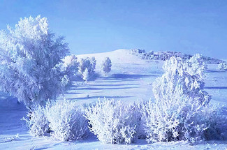 【遇见乌兰布统冬·亲子营5日】北京+塞罕坝林海穿越+游牧部落牧民家访+乌兰布统越野穿越+雪原狩猎+雪地火锅+冬捕+冰雪运动会+古北水镇+司马台长城+28人品质亲子团