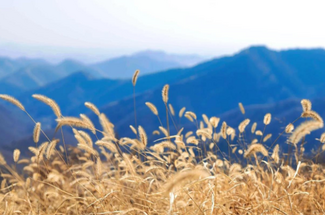 【北京一周一山·狐狸峪】探秘北方武功山丨蓟县狐狸峪：冬日徒步的惊喜之地~