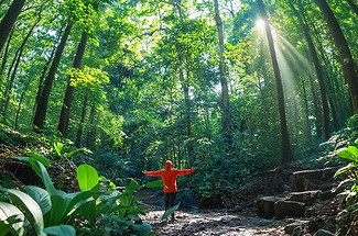 【徒步华夏第二十二站 · 版纳茶山站】基诺山雨林徒步+景迈山古茶园徒步+景真八角亭+翁基古寨+景迈山糯干古寨+湄公河星光夜市+专业摄影师跟拍航拍+5日徒步