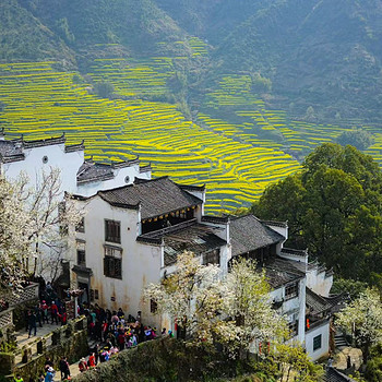 【徒步华夏第二十三站 · 皖南徽州站】婺源篁岭油菜花+梯田徒步+新安江徒步+天空之城+摄影石潭锁雾+屯溪老街+专业摄影师跟拍航拍+庆功宴+4日徒步