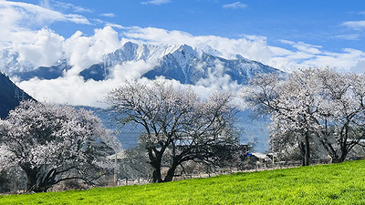 【大美川藏·10日】 林芝桃花+金川梨花+毕棚沟+甲居藏寨+墨石公园+然乌湖+米堆冰川+南迦巴瓦峰+索松村/雅鲁藏布大峡谷10日游