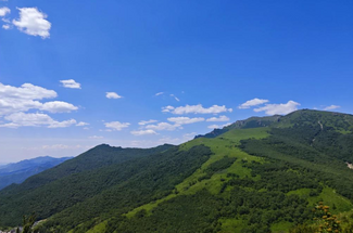 【北京一周一山·黄花梁】如果远方呼唤我：走向黄花梁的草甸与花海‌~