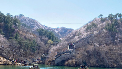 【北京一周一山·黄花城水长城】北京踏青好去处：春季限定的水长城，山花烂漫，融青山、碧水、长城于一体，颇有一番塞外景、江南风的韵味~