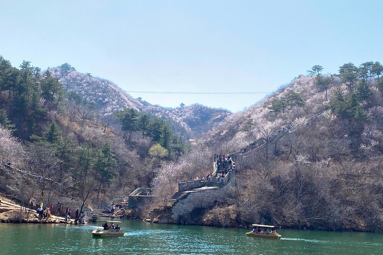 【北京一周一山·黄花城水长城】北京踏青好去处：春季限定的水长城，山花烂漫，融青山、碧水、长城于一体，颇有一番塞外景、江南风的韵味~