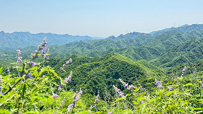 【北京一周一山·莲花滩 】童话森林里的漫步+奔向山谷秘境深处一线天+感受山野乐趣~