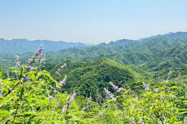 【北京一周一山·莲花滩 】童话森林里的漫步+奔向山谷秘境深处一线天+感受山野乐趣~
