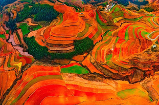 【行摄滇南】东川红土地｜元阳梯田｜罗平油菜花｜九龙瀑布｜弥勒东风韵｜建水古城｜抚仙湖7天6晚