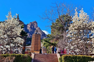 【北京一周一山·银山塔林】花海徒步之旅丨解锁燕京八景的银山塔林与桃花仙境~