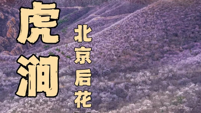 【北京一周一山·白虎涧】北京春季赏花徒步的天花板丨北京后花园看桃花漫满山+赏燕平八景~