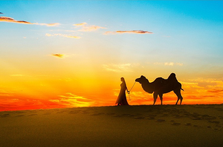 【初见内蒙·畅游沙漠3日】库布齐07沙漠公路+越野车深度穿越+畅玩响沙湾+光伏森林+特色骆驼宴+美岱召+内蒙古博物院+38人舒适团