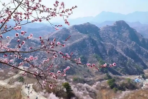 【北京一周一山·香屯】穿越最美香屯村，探索大云峡谷的春季秘境：爬野长城，赏世外桃花！