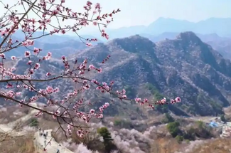 【北京一周一山·香屯】穿越最美香屯村，探索大云峡谷的春季秘境：爬野长城，赏世外桃花！