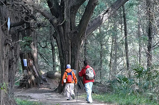 【行走蜀道·人文古道5日】成都+普安镇+南线（小垭子-断碑梁）+西线（拦马墙-普安镇)+北线(普安镇-抄手铺-汉阳镇)+翠云廊景区+剑阁县+剑门关(鸟道)+昭化古城+皇泽寺+千佛崖+28人品质徒步团