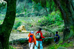 【遇见川北·行走古蜀道徒步5日】成都+普安镇+小垭子-断碑梁+拦马墙-普安镇+普安镇-抄手铺-汉阳镇+翠云廊景区+剑阁县+剑门关(鸟道)+昭化古城+皇泽寺+千佛崖+28人品质徒步团
