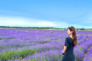 【新疆北疆大环线10日】喀纳斯禾木+那拉提草原+独库公路+赛里木湖+阿禾公路+伊昭公路+琼库什台+夏塔古道+天山天池+唐布拉草原+世界魔鬼城+薰衣草农场+2-6人小包团&6人小团