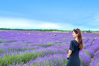 【新疆北疆大环线10日】喀纳斯禾木+那拉提草原+独库公路+赛里木湖+阿禾公路+伊昭公路+琼库什台+夏塔古道+天山天池+唐布拉草原+世界魔鬼城+薰衣草农场+2-6人小包团&6人小团