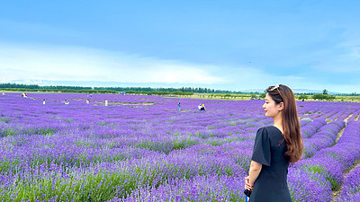 【新疆北疆大环线10日】喀纳斯禾木+那拉提草原+独库公路+赛里木湖+阿禾公路+伊昭公路+琼库什台+夏塔古道+天山天池+唐布拉草原+世界魔鬼城+薰衣草农场+2-6人小包团&6人小团