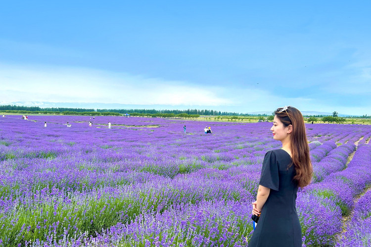 【新疆北疆大环线10日】喀纳斯禾木+那拉提草原+独库公路+赛里木湖+阿禾公路+伊昭公路+琼库什台+夏塔古道+天山天池+唐布拉草原+世界魔鬼城+薰衣草农场+2-6人小包团&6人小团