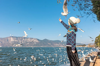 【荷以滇东南·夏日限定6日】昆明+普者黑戏水赏花+深度抚仙湖+建水全景+坝美世外桃源+弥勒东风韵，-一网打尽滇东南全景·2-12人团