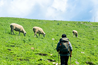 【行走草原Plus6日】赤峰+乌兰布统+大青山徒步+黄岗梁徒步+越野穿越热阿线达达线+花咕噜台+琪琪格湖+葫芦诺日+公主湖+白桦林+金山岭长城+28人精品徒步团