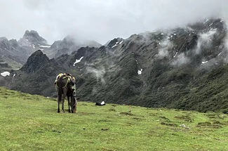 【徒步华夏第二十七站·云南香格里拉站】丽江+虎跳峡+茶马客栈+龙洞瀑布+尼汝村+七彩瀑布+香格里拉+无底湖+千湖山+28人徒步团
