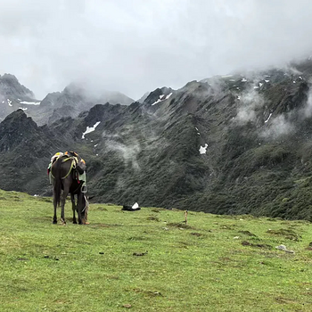 【徒步华夏第二十七站·云南香格里拉站】丽江+虎跳峡+茶马客栈+龙洞瀑布+尼汝村+七彩瀑布+香格里拉+无底湖+千湖山+28人徒步团