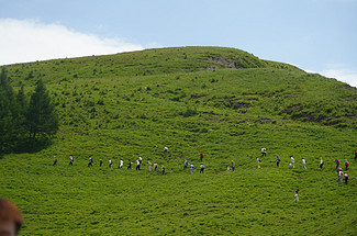【北京一周一山·东甸子梁 】东甸子梁的夏日童话 | 打卡京西最美高山草甸，看风车、赏花海、避酷暑~