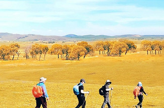 【行走双草原·多伦乌兰布统3日】早鸟优惠来袭丨乌兰布统徒步16km+浑善达克沙地徒步15km+私家牧场徒步10KM+双草原徒步+草原、沙漠、密林、湖泊全地形覆盖~