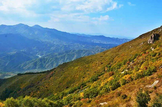 【北京一周一山·黄花梁】一半是云海，一半是金黄：黄花梁的秋日限定浪漫~