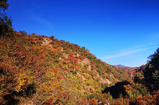 【北京一周一山·海坨山南大梁】当海坨山与秋天邂逅，那种美会惊艳到你