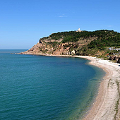 与海鸥一起遨游神奇海岛