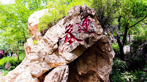 【秋·梨木台】天津出发-蓟县-梨木台休闲游，一价全含