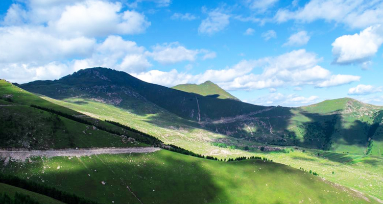 【自驾茶山】京西小五台·茶山露营·野外烧烤·观云海·看日出·赏金莲·穿越飞狐峪·自驾2日游